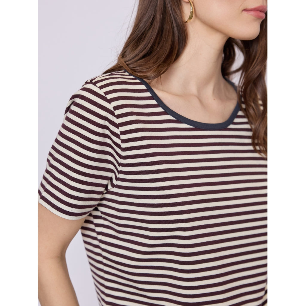 Redgreen Women Cecilie Tee Polo Shirts 185 Plum Stripe